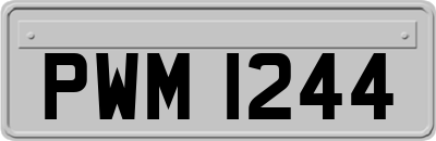 PWM1244