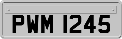 PWM1245