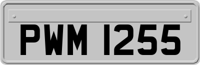 PWM1255