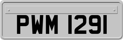 PWM1291