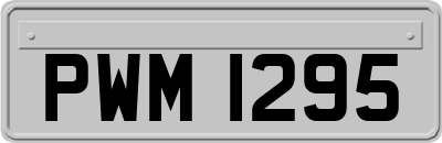 PWM1295