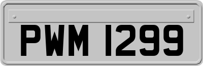 PWM1299