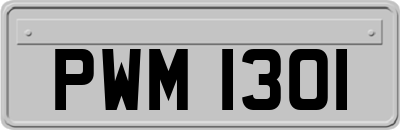 PWM1301