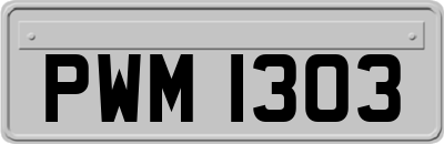 PWM1303