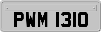 PWM1310