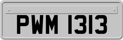 PWM1313