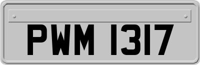 PWM1317