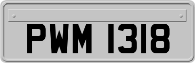 PWM1318