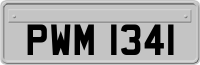 PWM1341