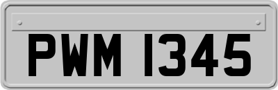 PWM1345