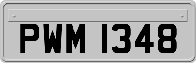 PWM1348