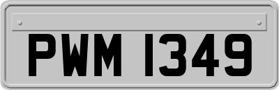 PWM1349