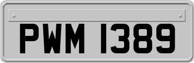 PWM1389