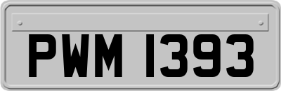 PWM1393