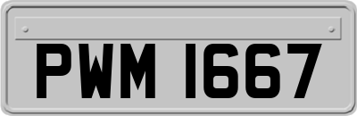 PWM1667