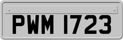 PWM1723