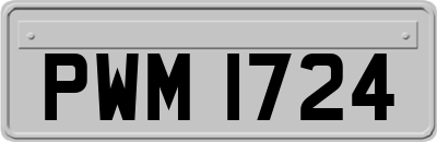 PWM1724