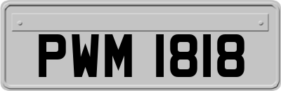 PWM1818