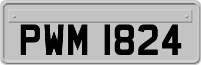 PWM1824