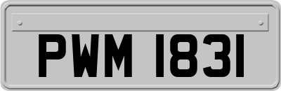 PWM1831