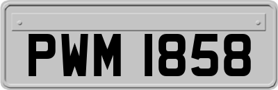 PWM1858