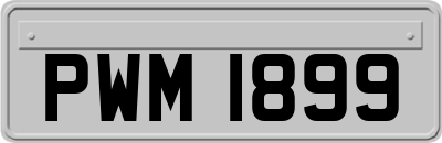 PWM1899