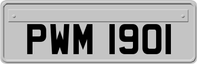 PWM1901