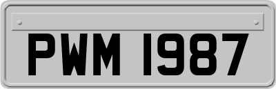 PWM1987