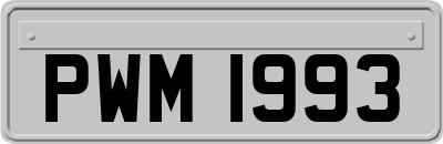 PWM1993