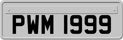 PWM1999