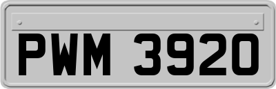 PWM3920