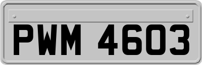 PWM4603