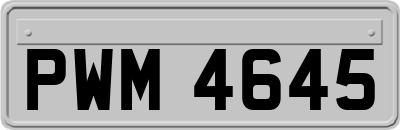 PWM4645