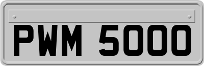 PWM5000