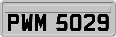 PWM5029