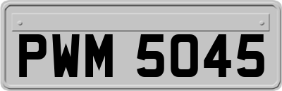 PWM5045