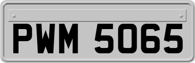 PWM5065