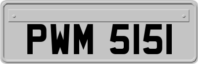 PWM5151