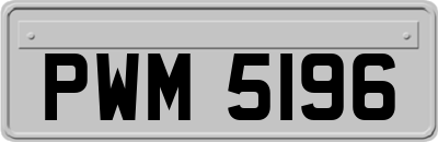 PWM5196