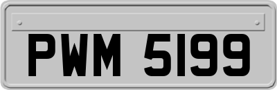 PWM5199