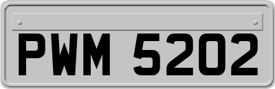 PWM5202