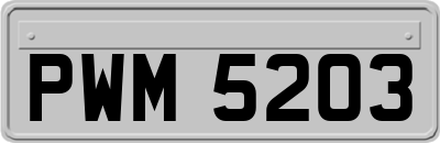 PWM5203