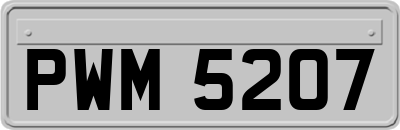 PWM5207