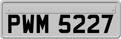 PWM5227