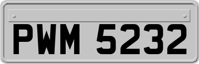 PWM5232