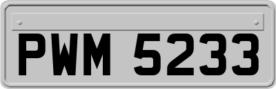 PWM5233