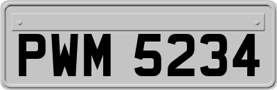 PWM5234