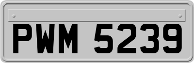 PWM5239