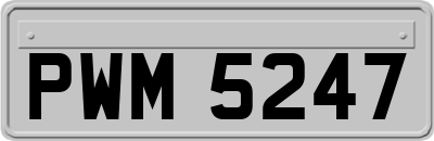 PWM5247