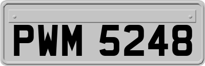 PWM5248